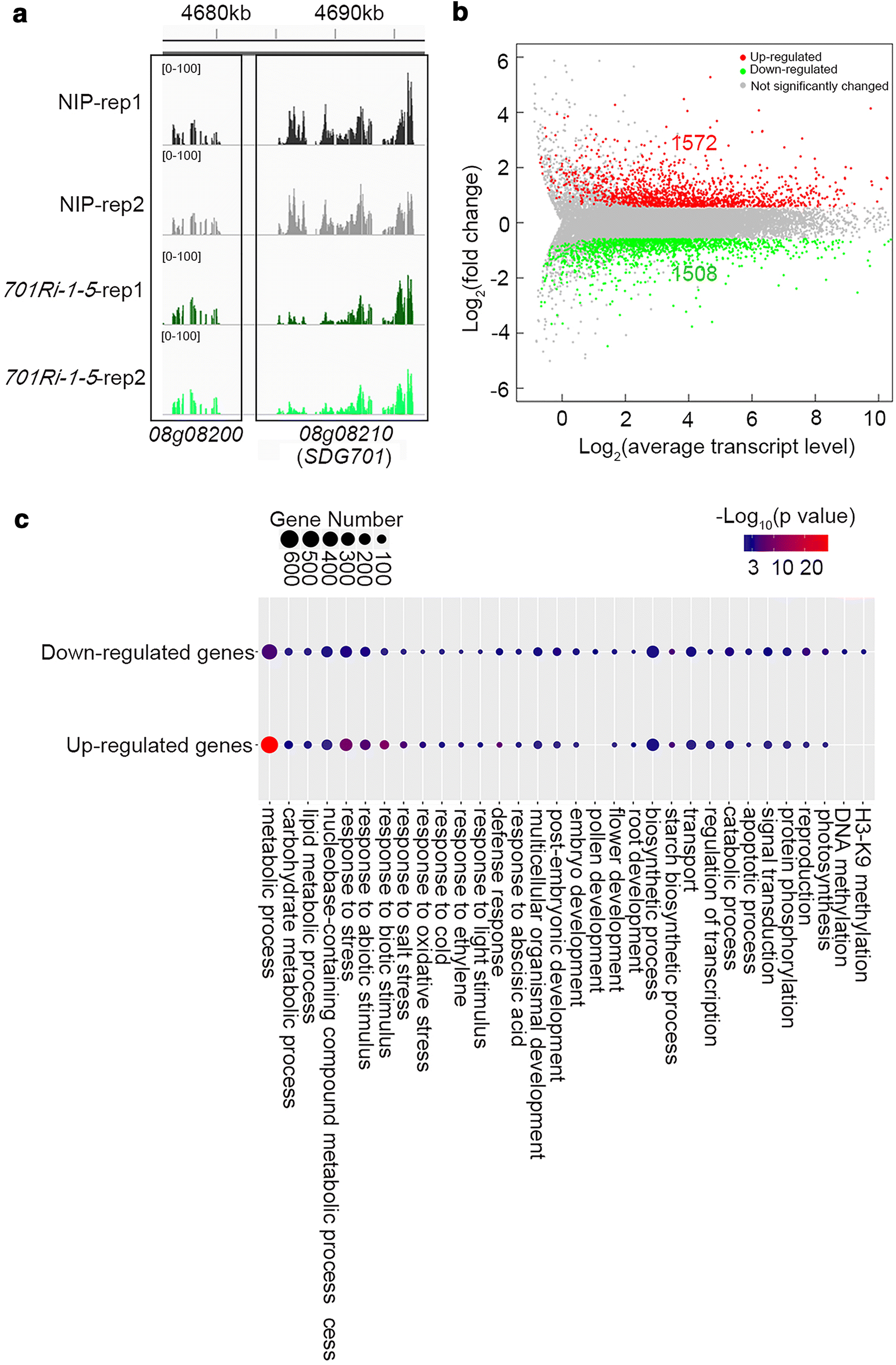 Fig. 1