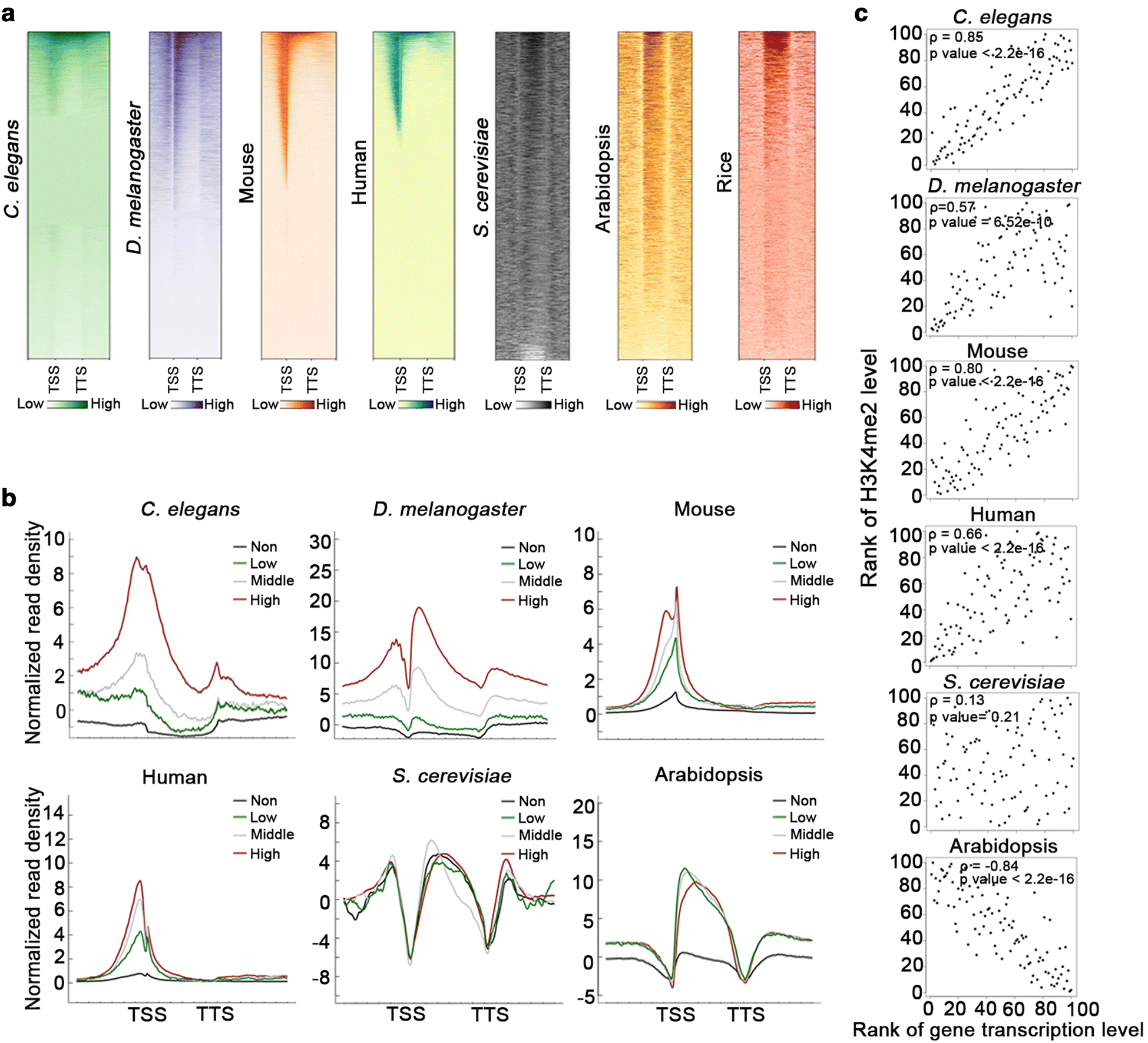 Fig. 6