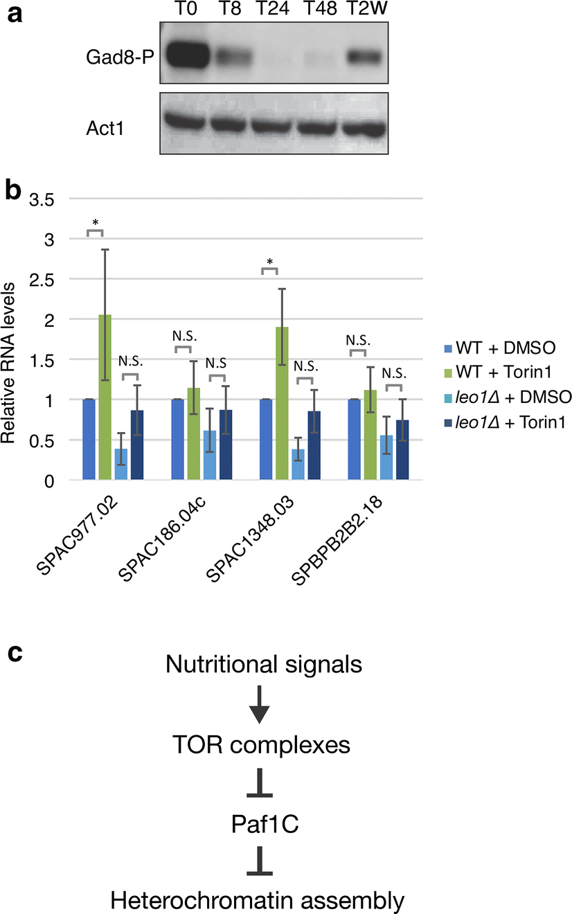 Fig. 6