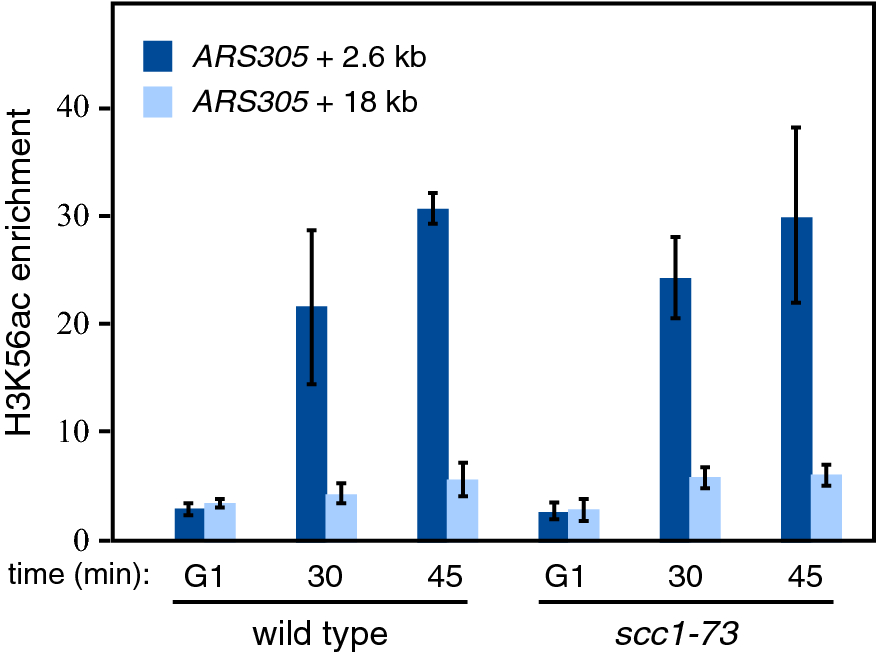 Fig. 4