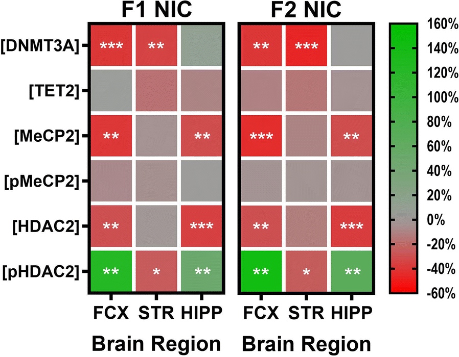 Fig. 6