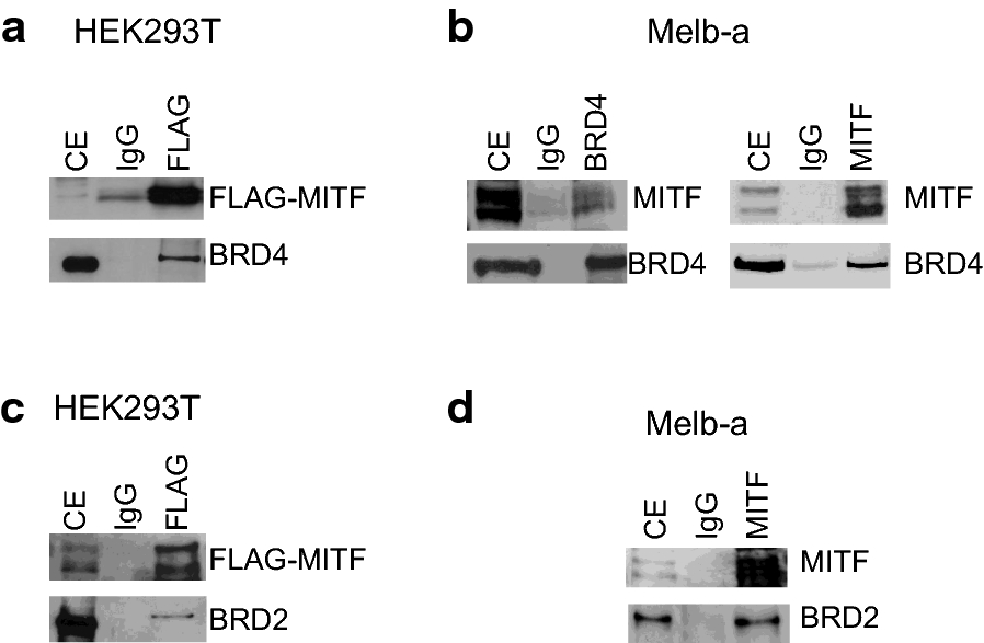 Fig. 10