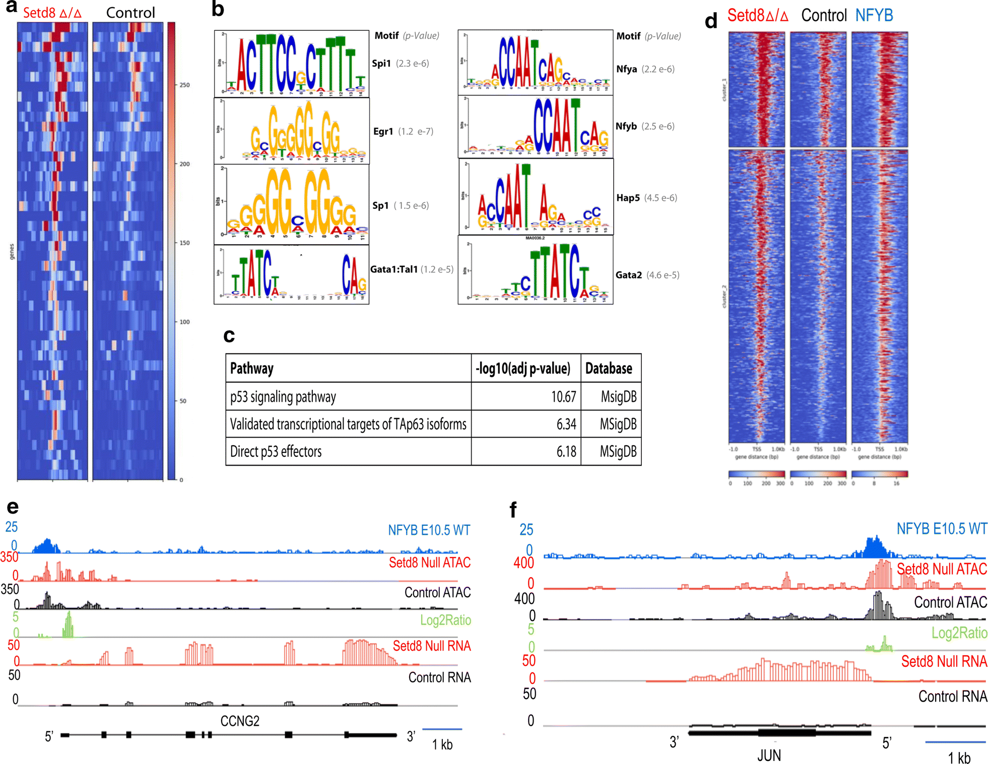 Fig. 3