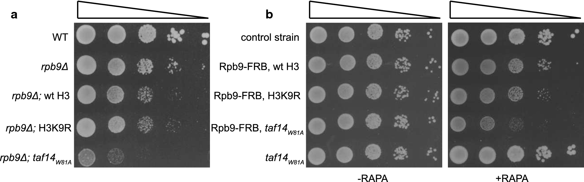 Fig. 4