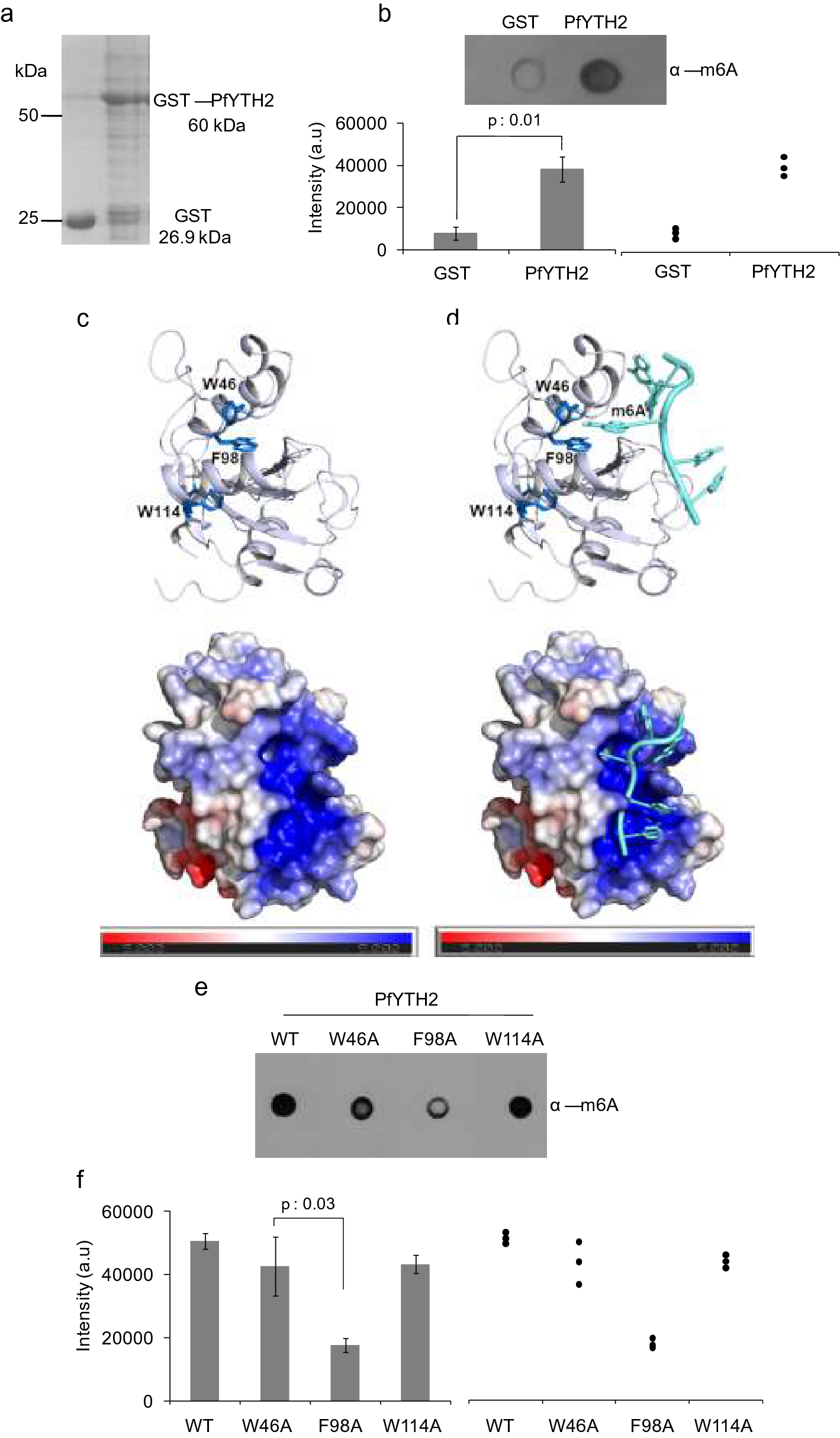 Fig. 1