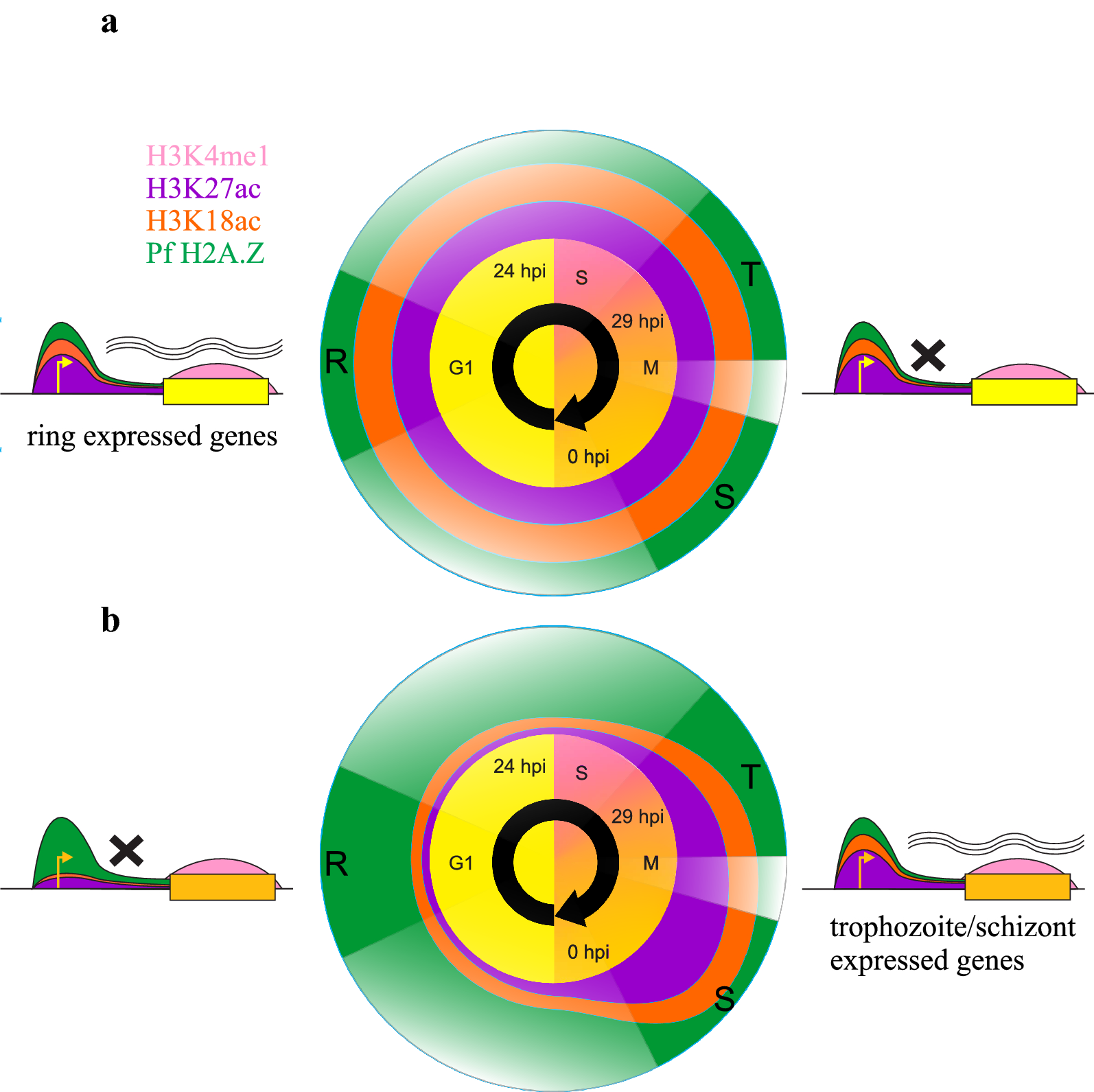 Fig. 11