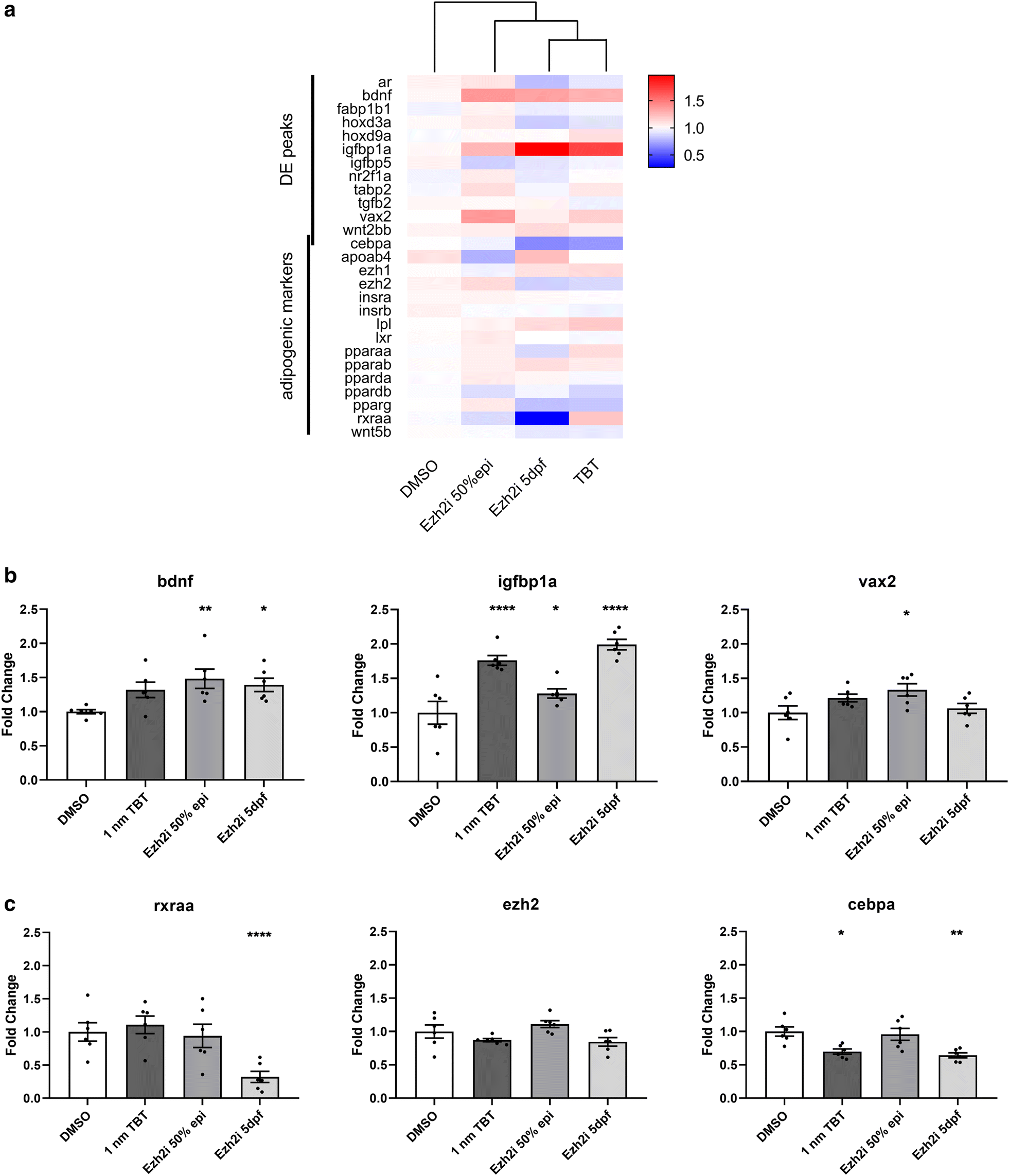 Fig. 6