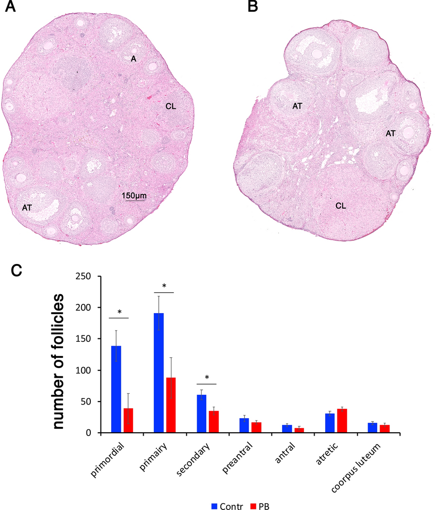 Fig. 8