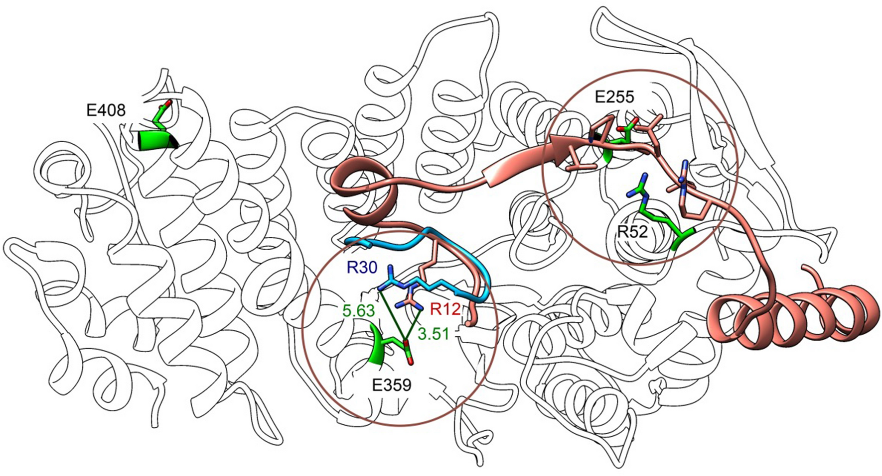 Fig. 7