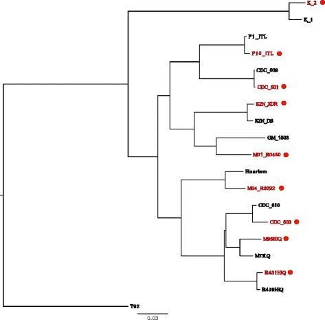 Figure 6