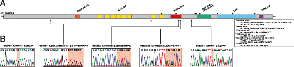 Fig. 2