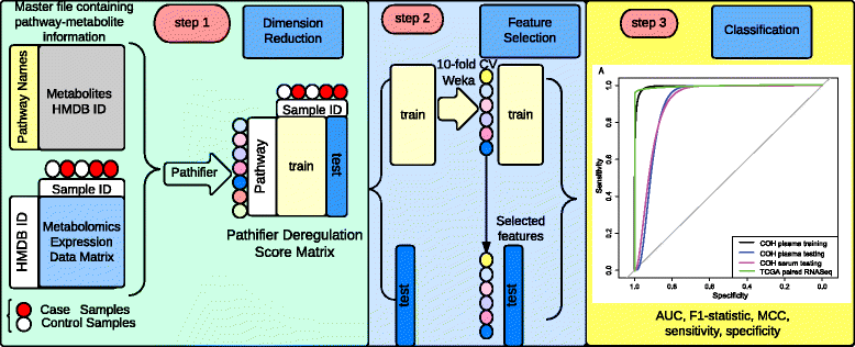 Fig. 1