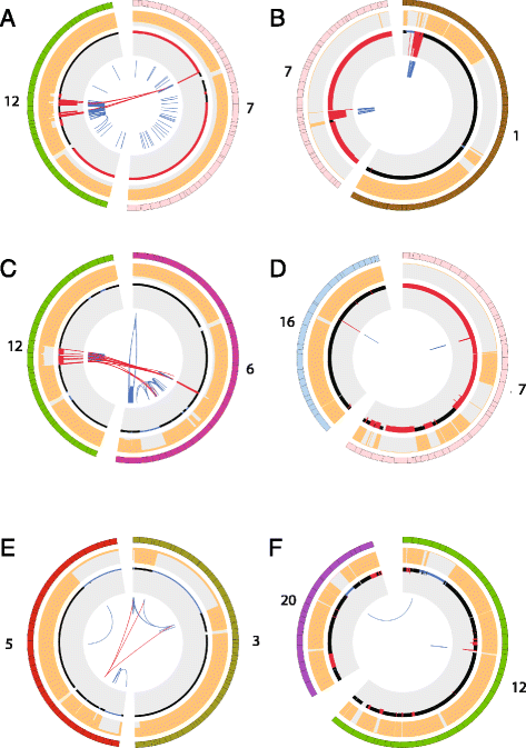 Fig. 4