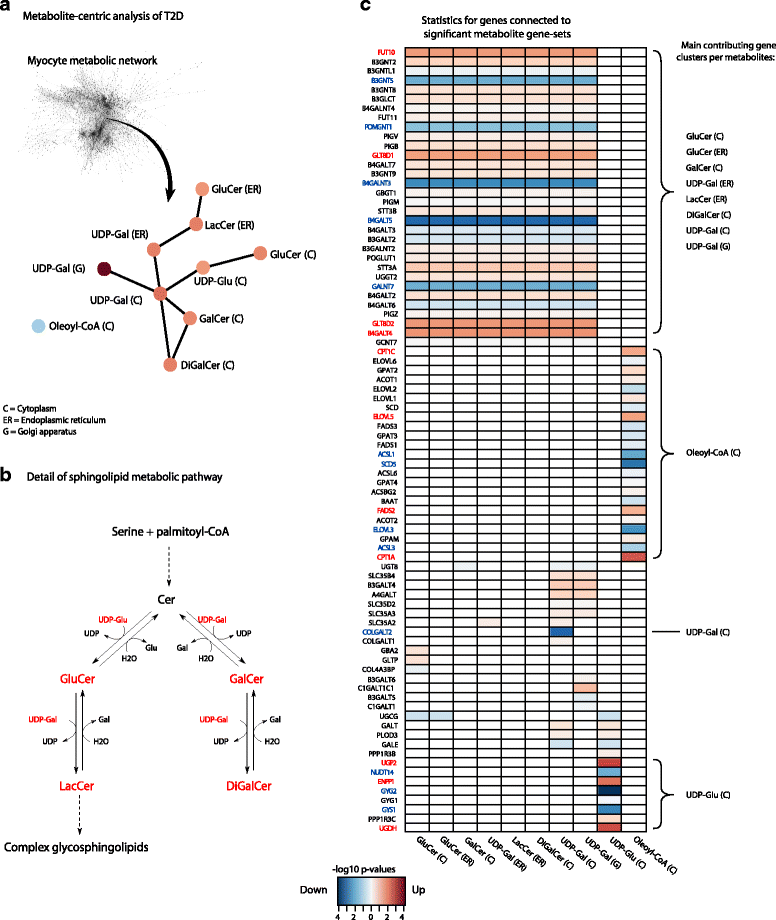 Fig. 4