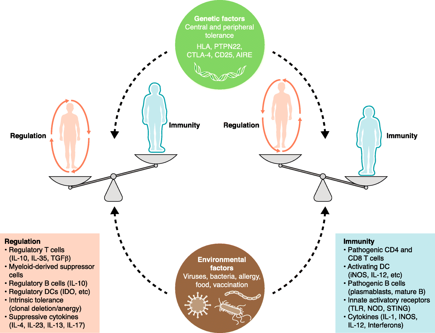 Recent advances in immunotherapies: from infection and autoimmunity, to  cancer, and back again | Genome Medicine | Full Text