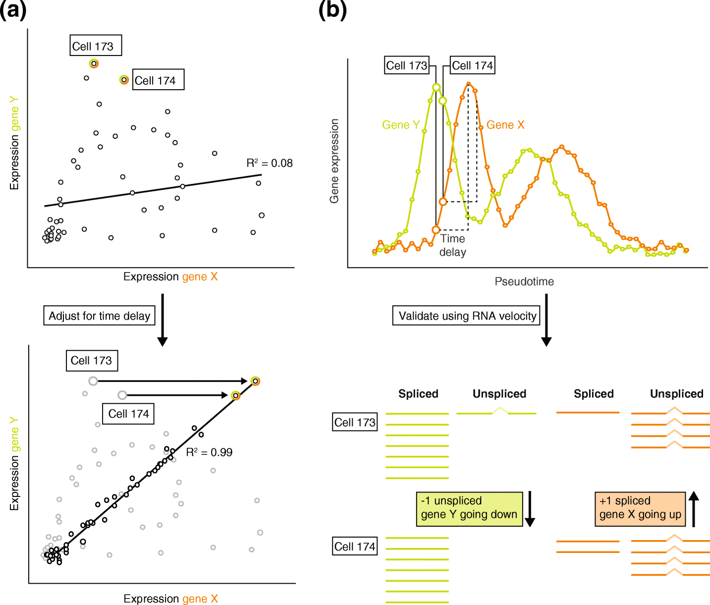 Fig. 5