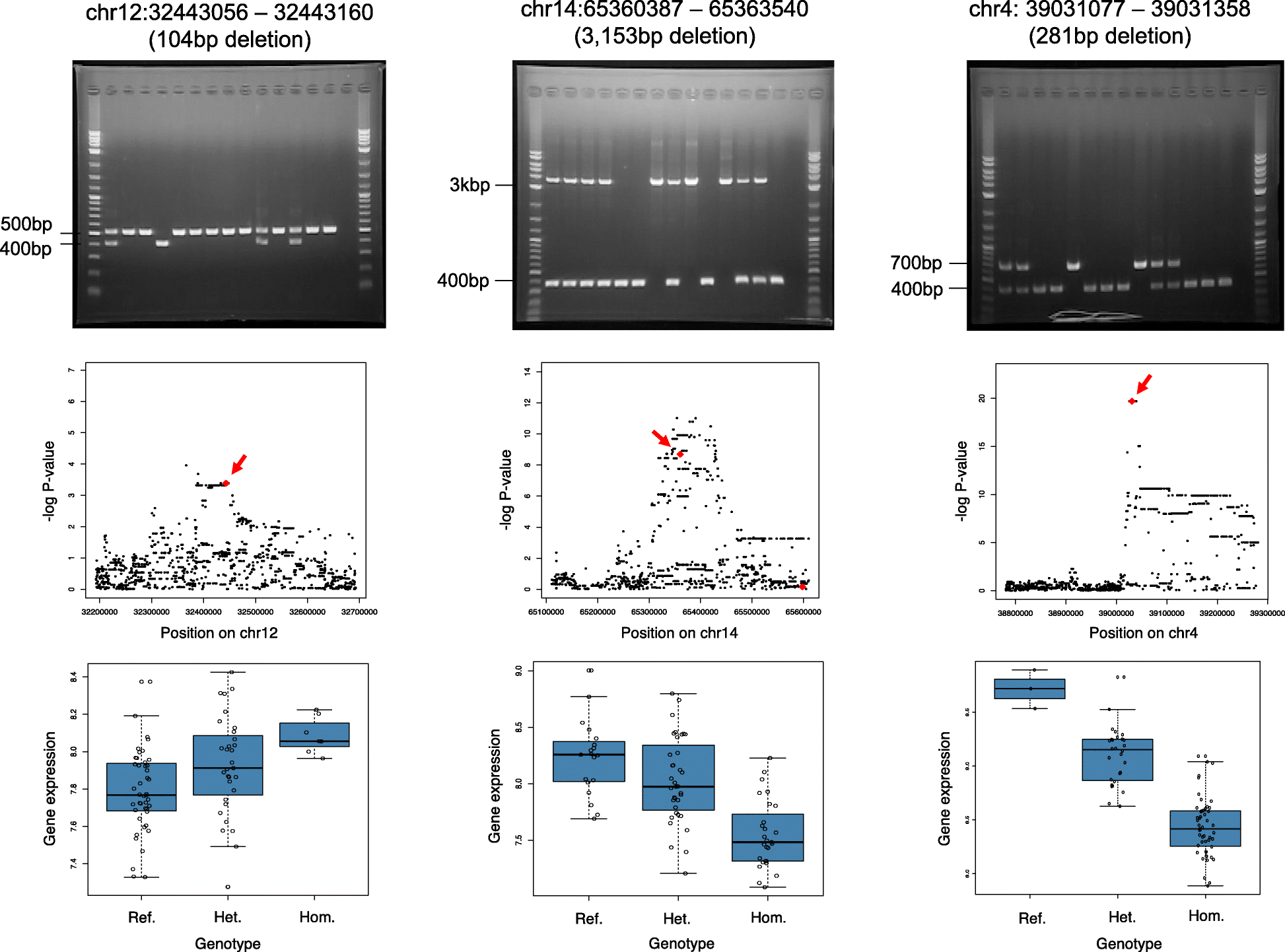 Fig. 4