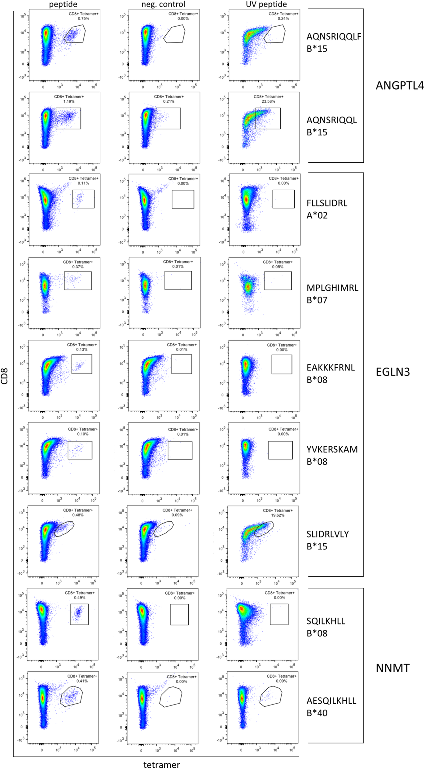 Fig. 6