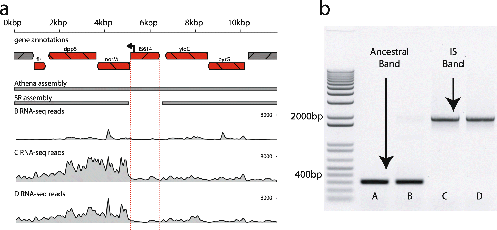 Fig. 4