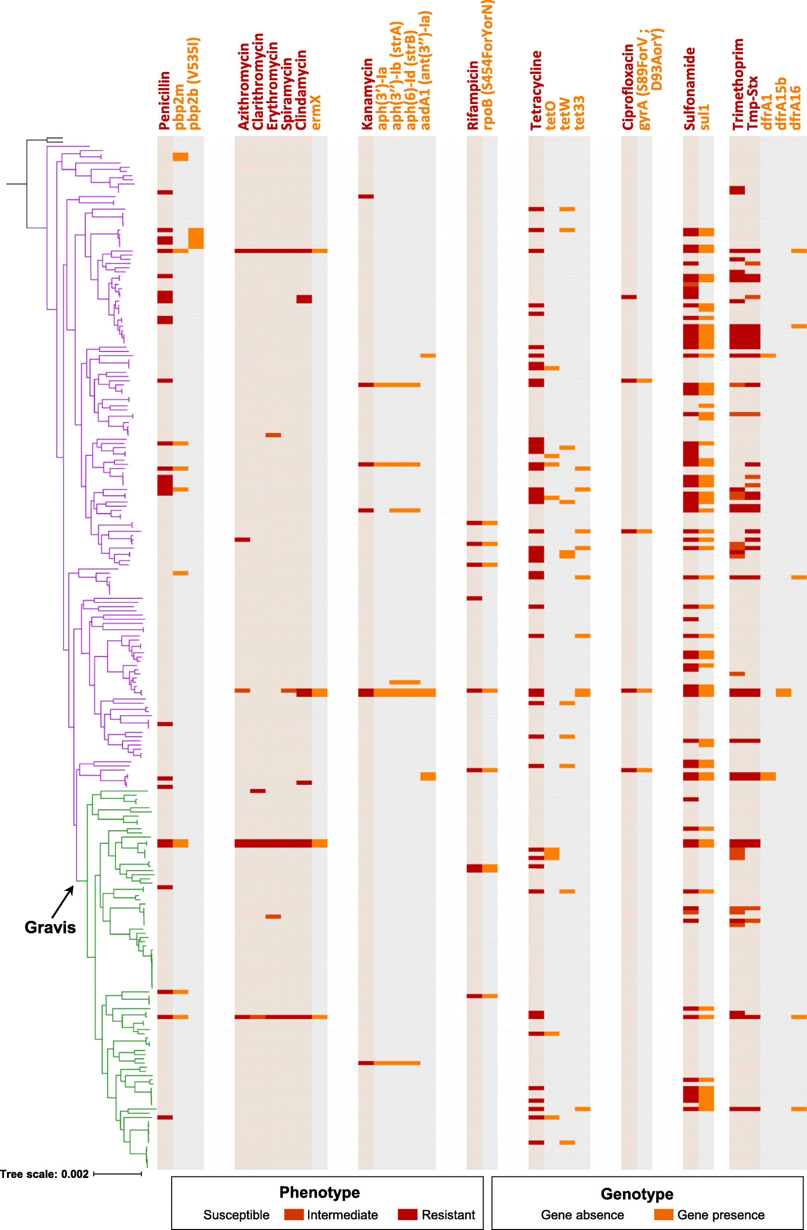 Fig. 5