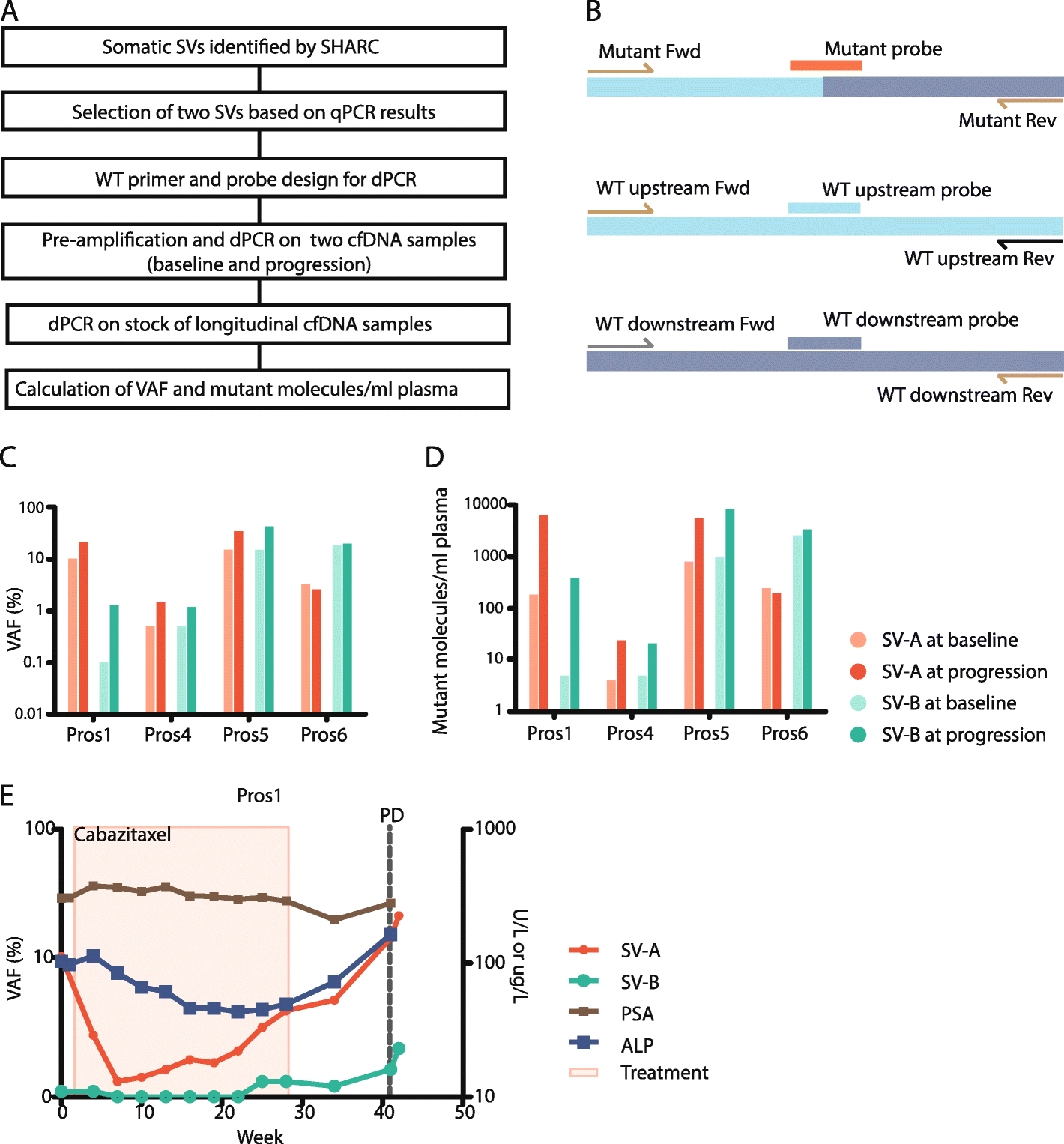 Fig. 4