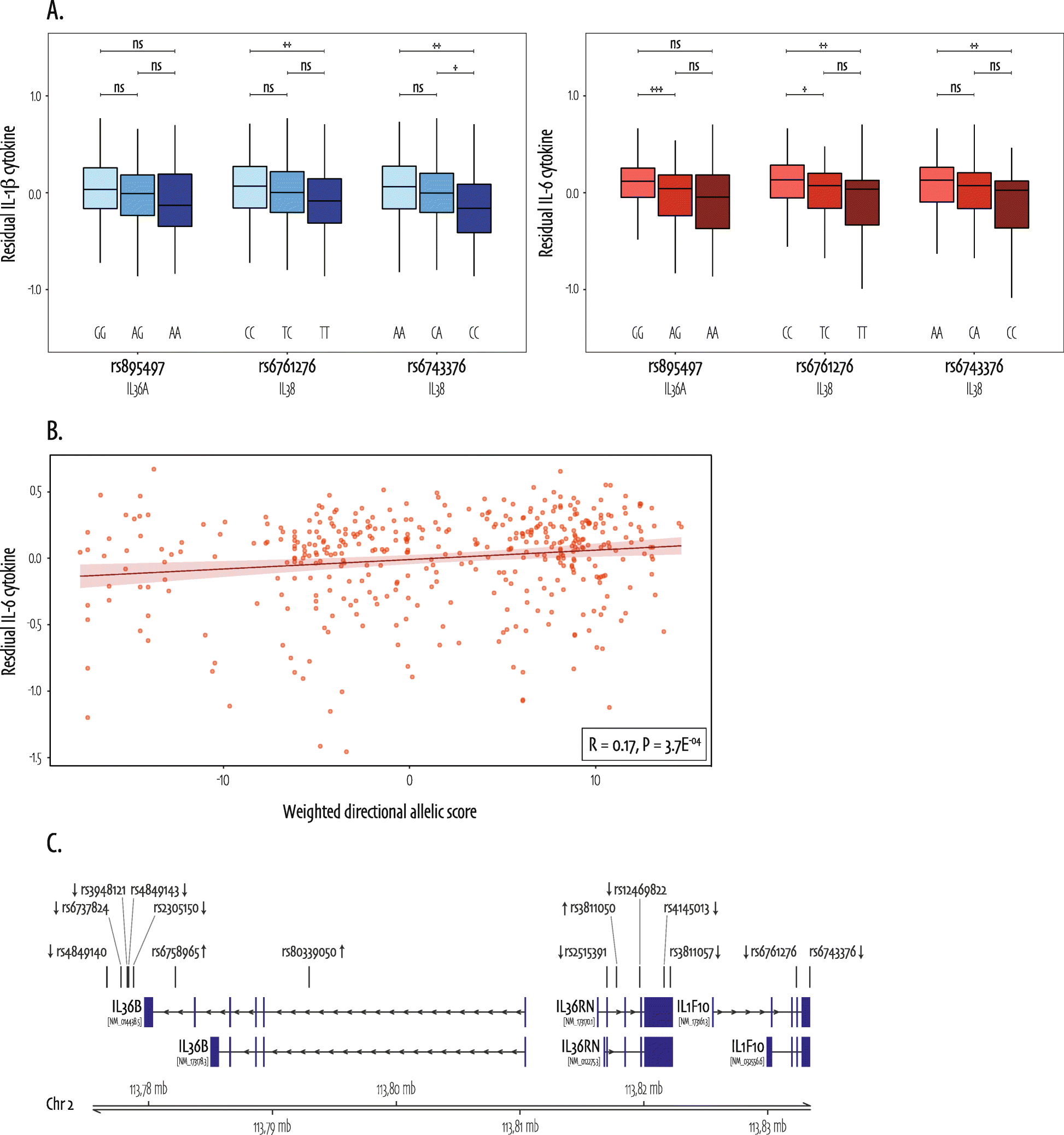 Fig. 5