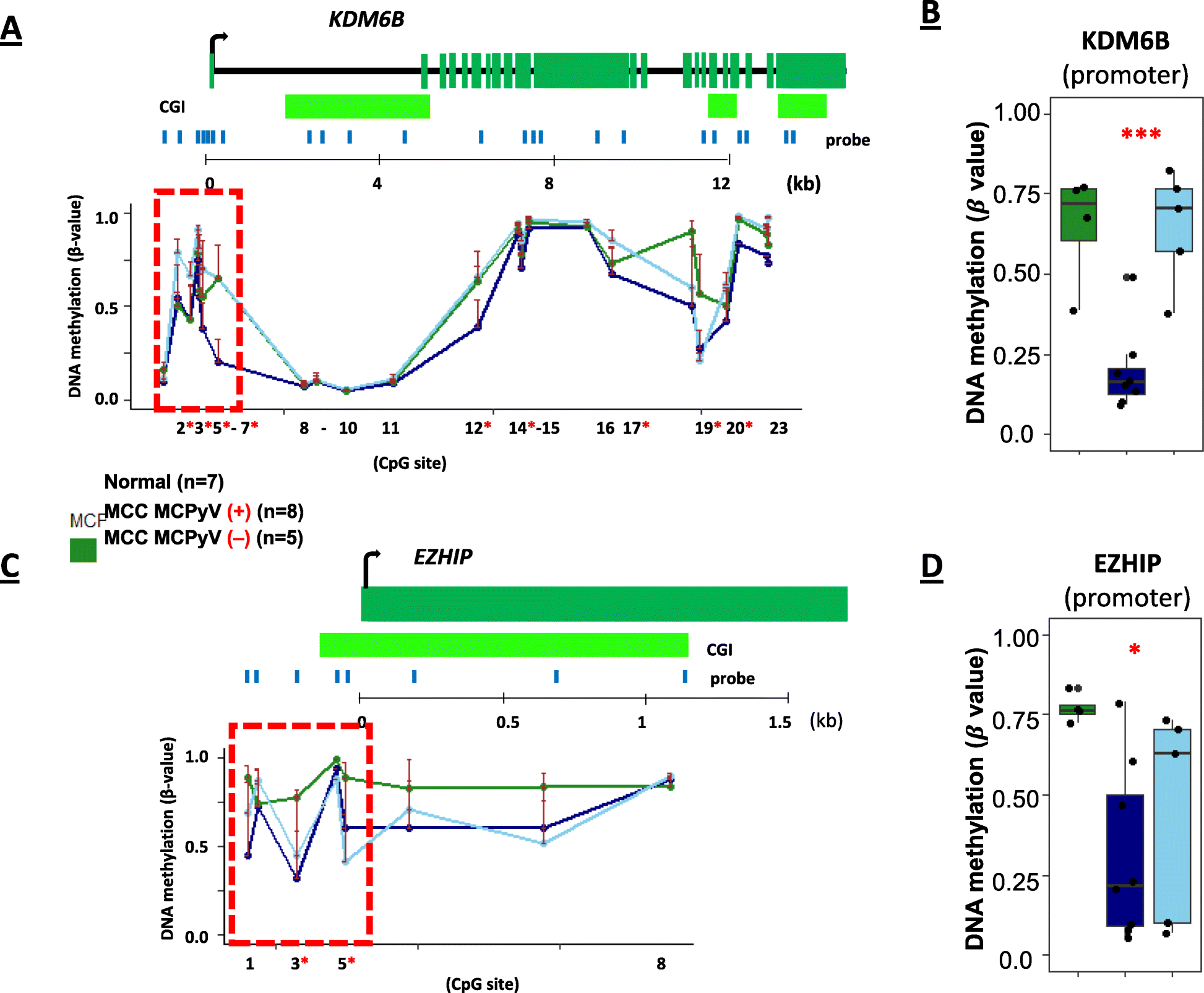 Fig. 7