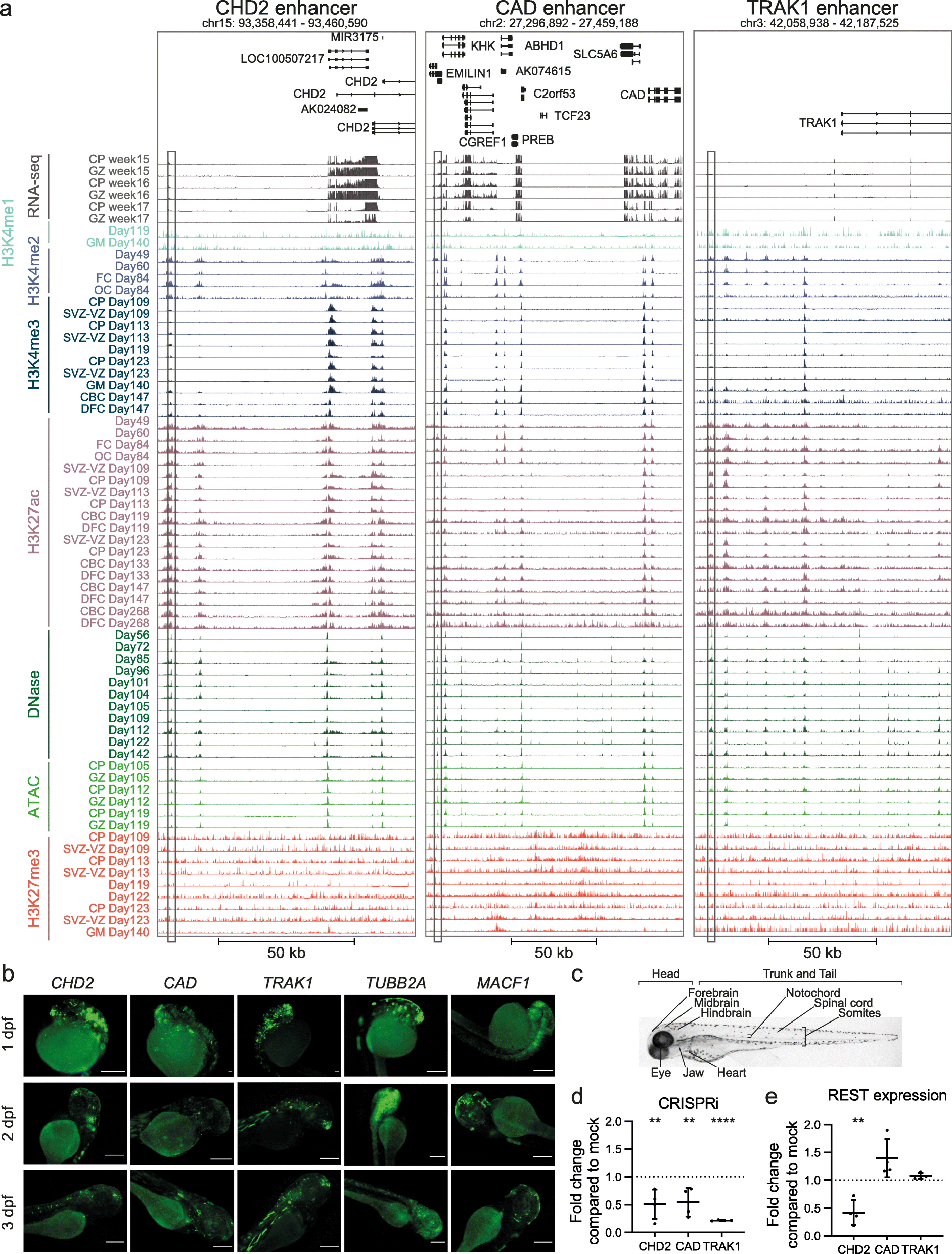 Fig. 6