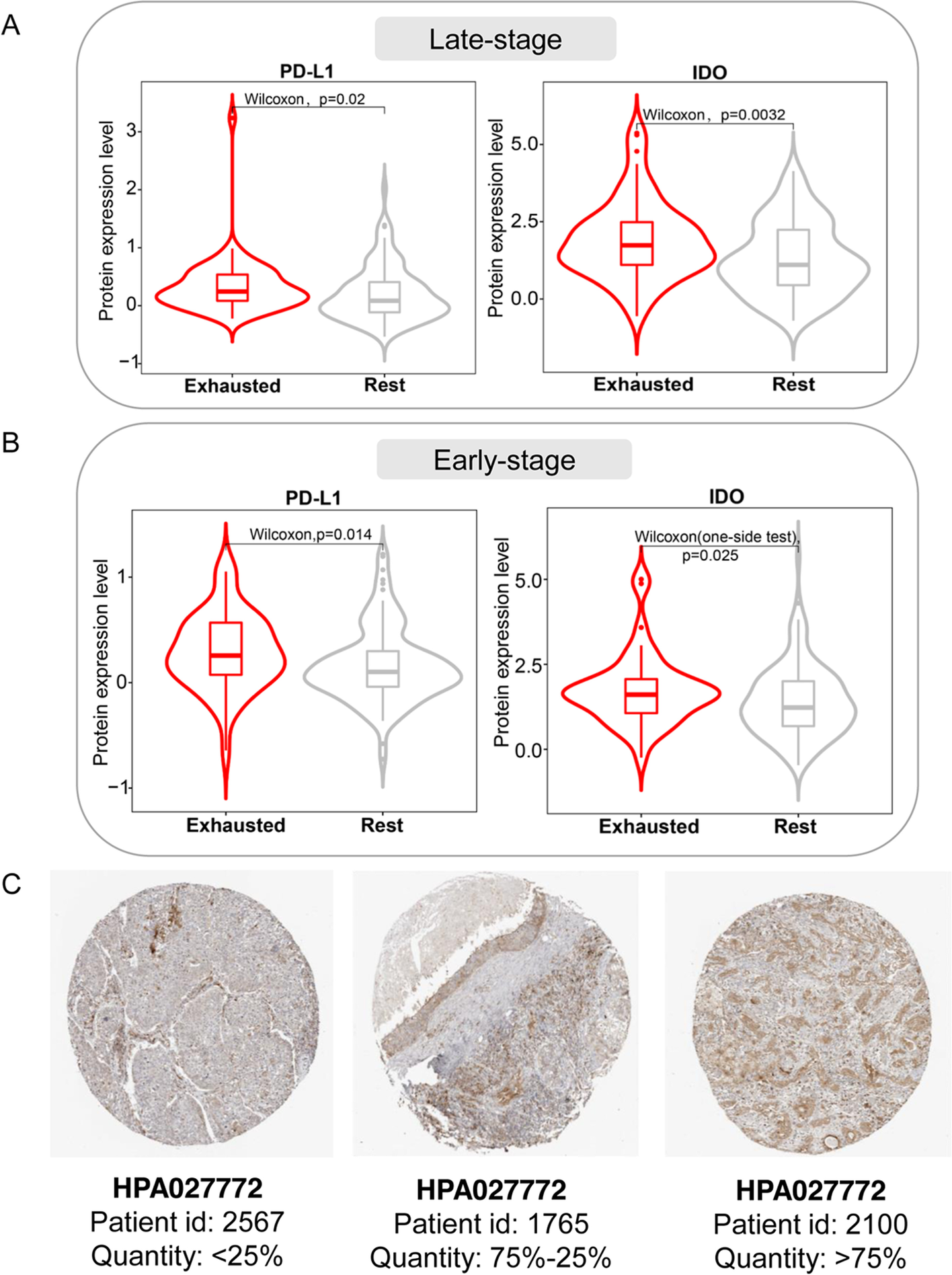 Fig. 7