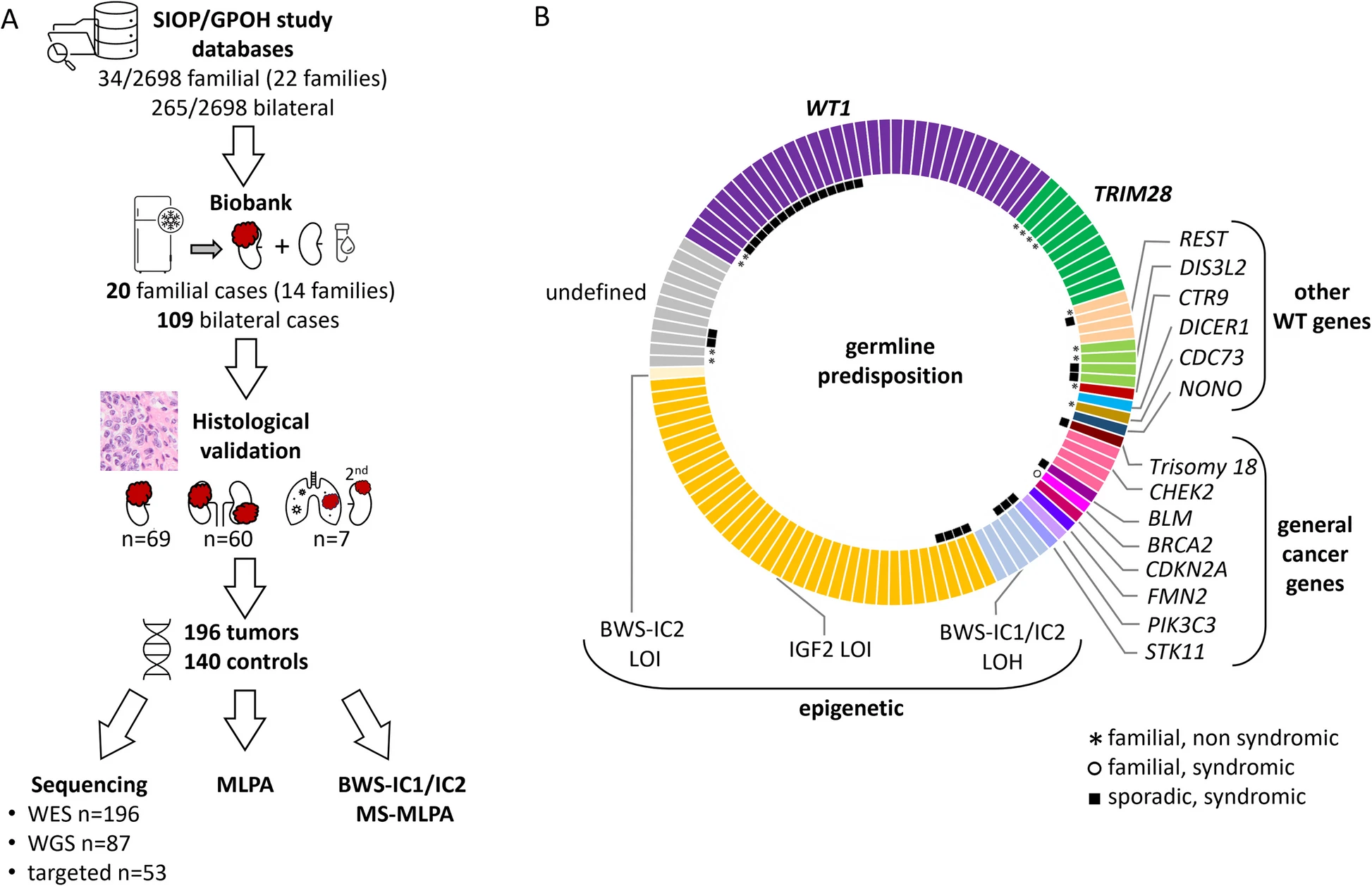 Distinct pathways for genetic and epigenetic predisposition in familial and bilateral Wilms tumor