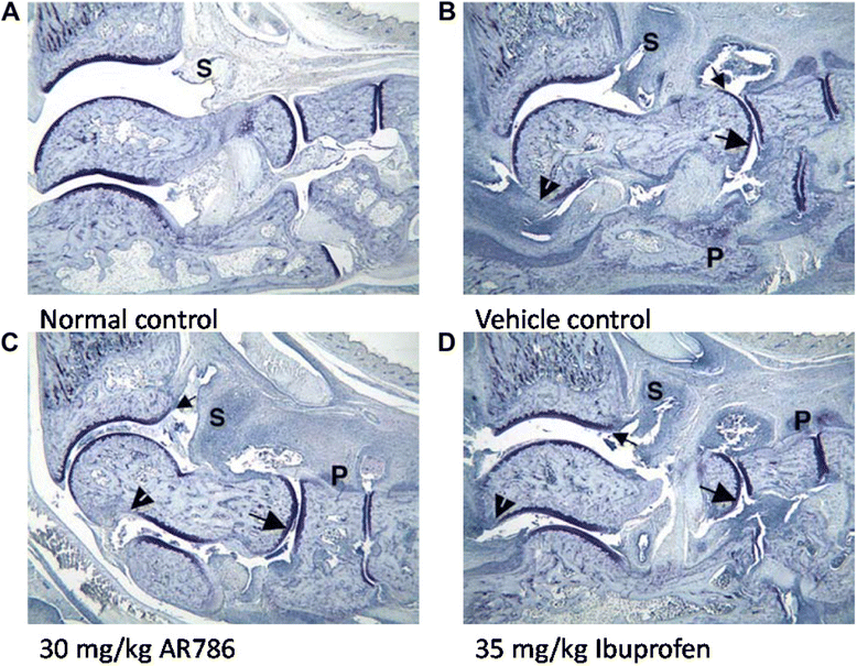 Fig. 5