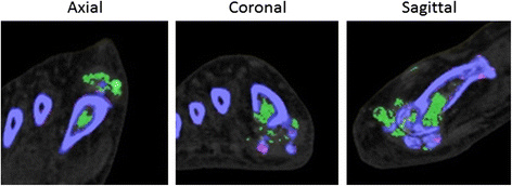 Fig. 2