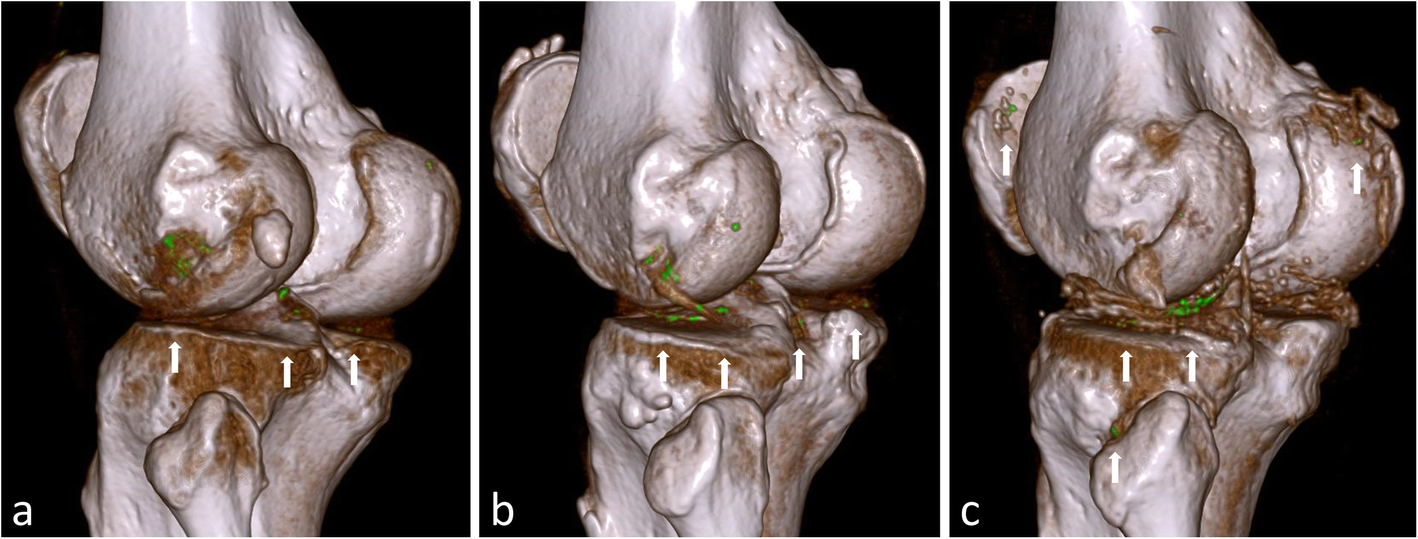 Fig. 5