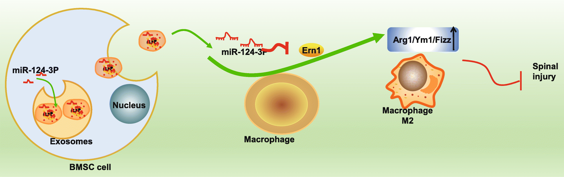 Fig. 9