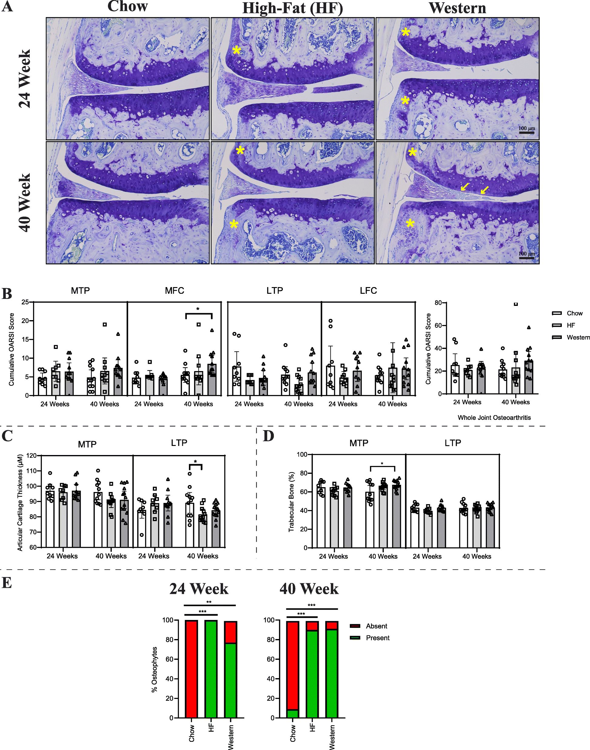 Fig. 5