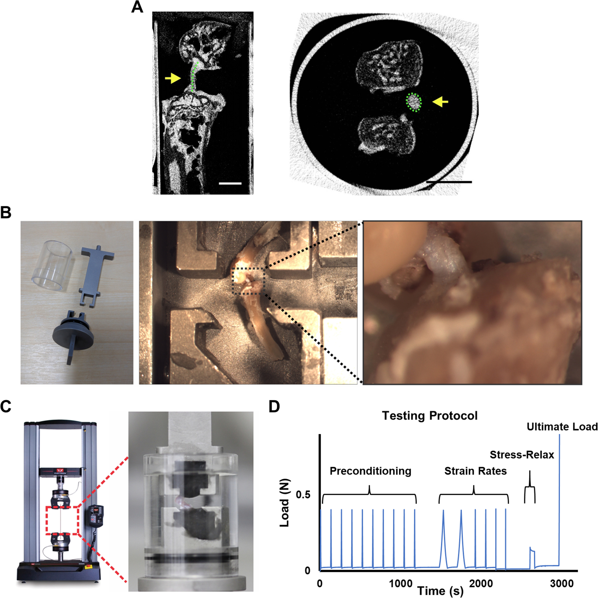 Fig. 1