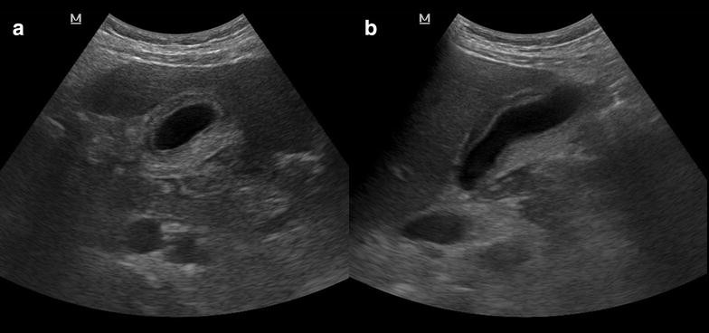 Fig. 5