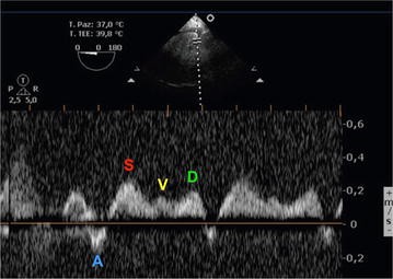 Fig. 7