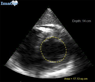 Fig. 3