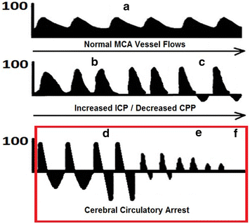 Fig. 6