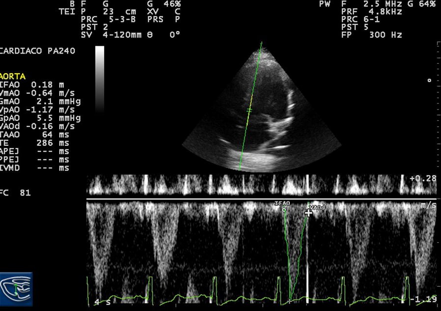 Fig. 2