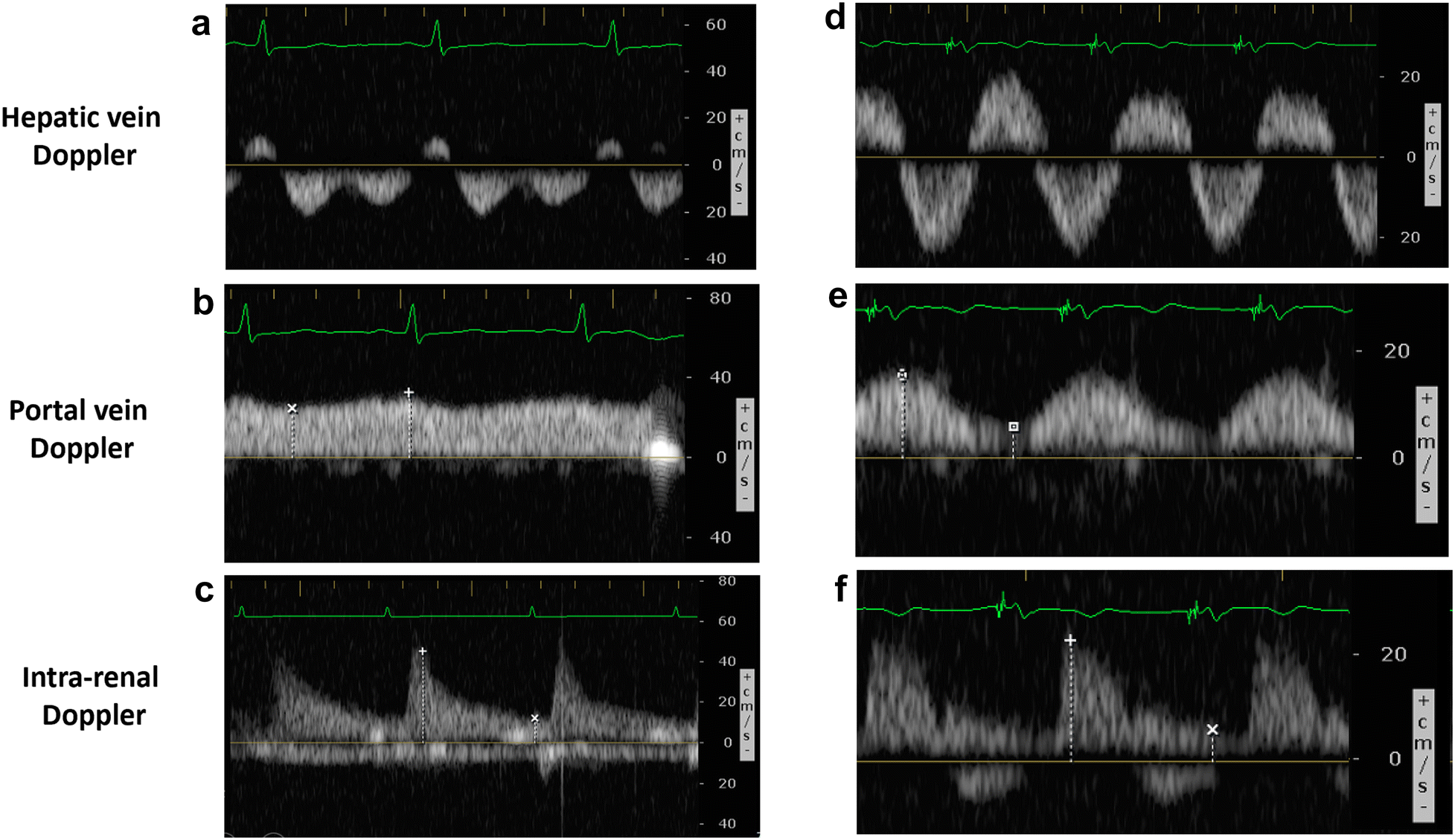 Fig. 5