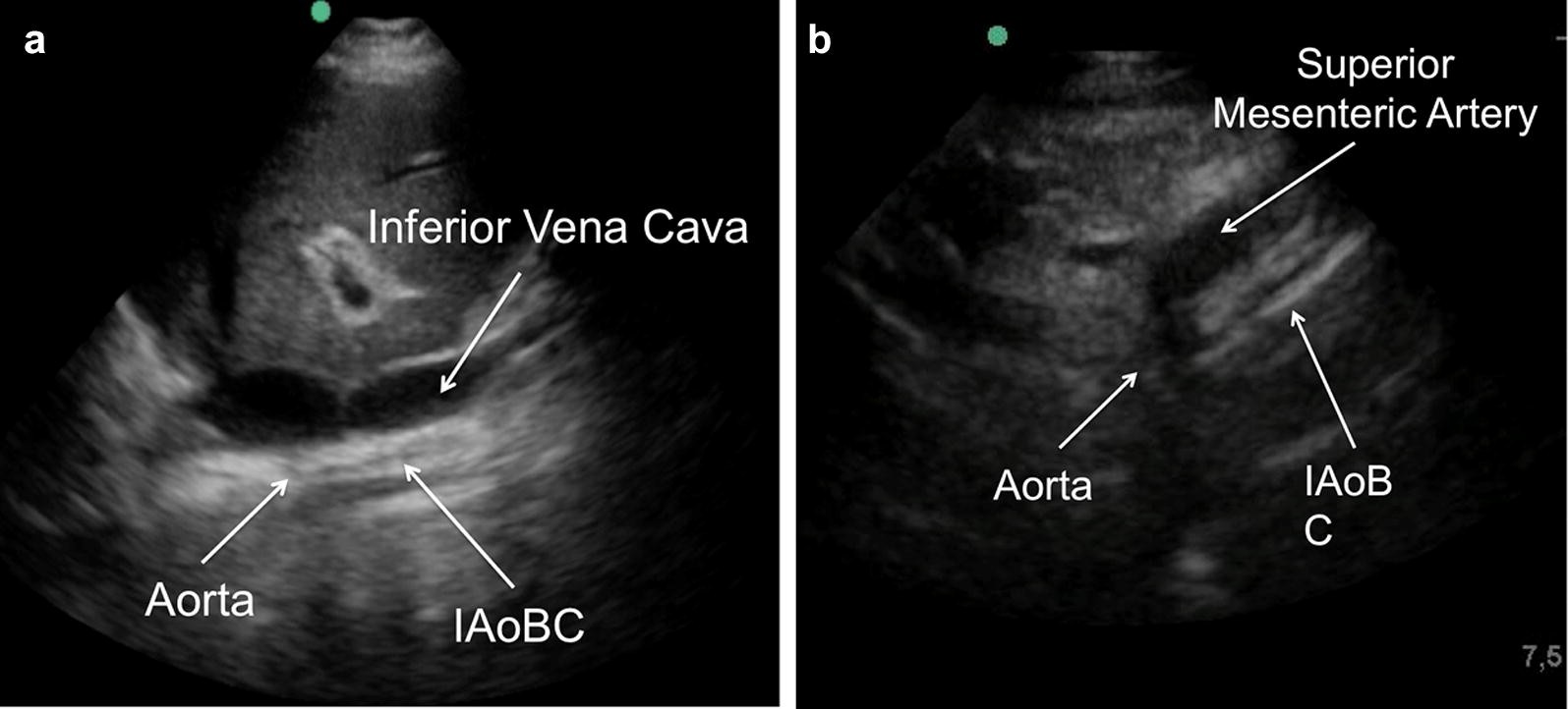 Fig. 6