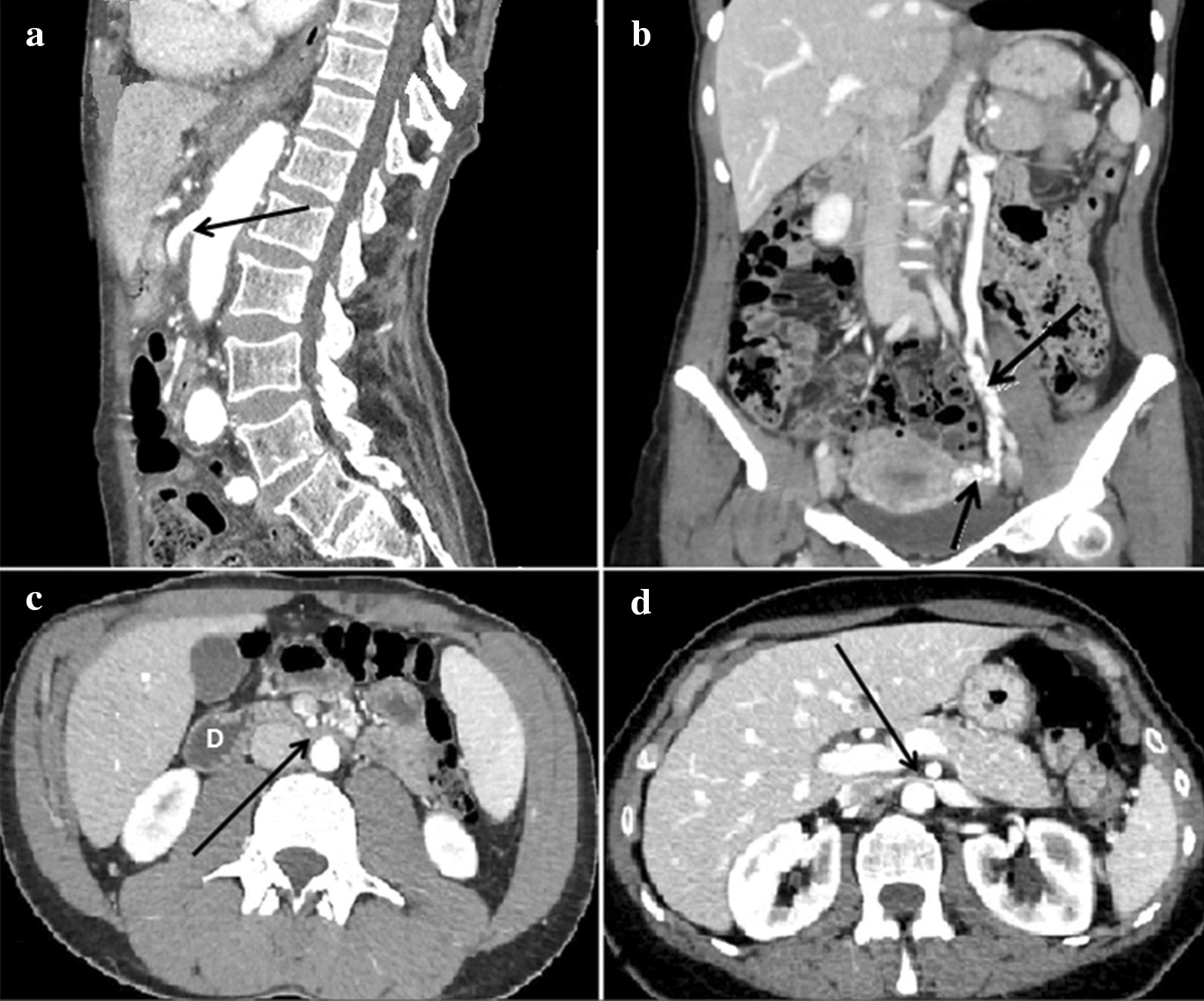 Fig. 8