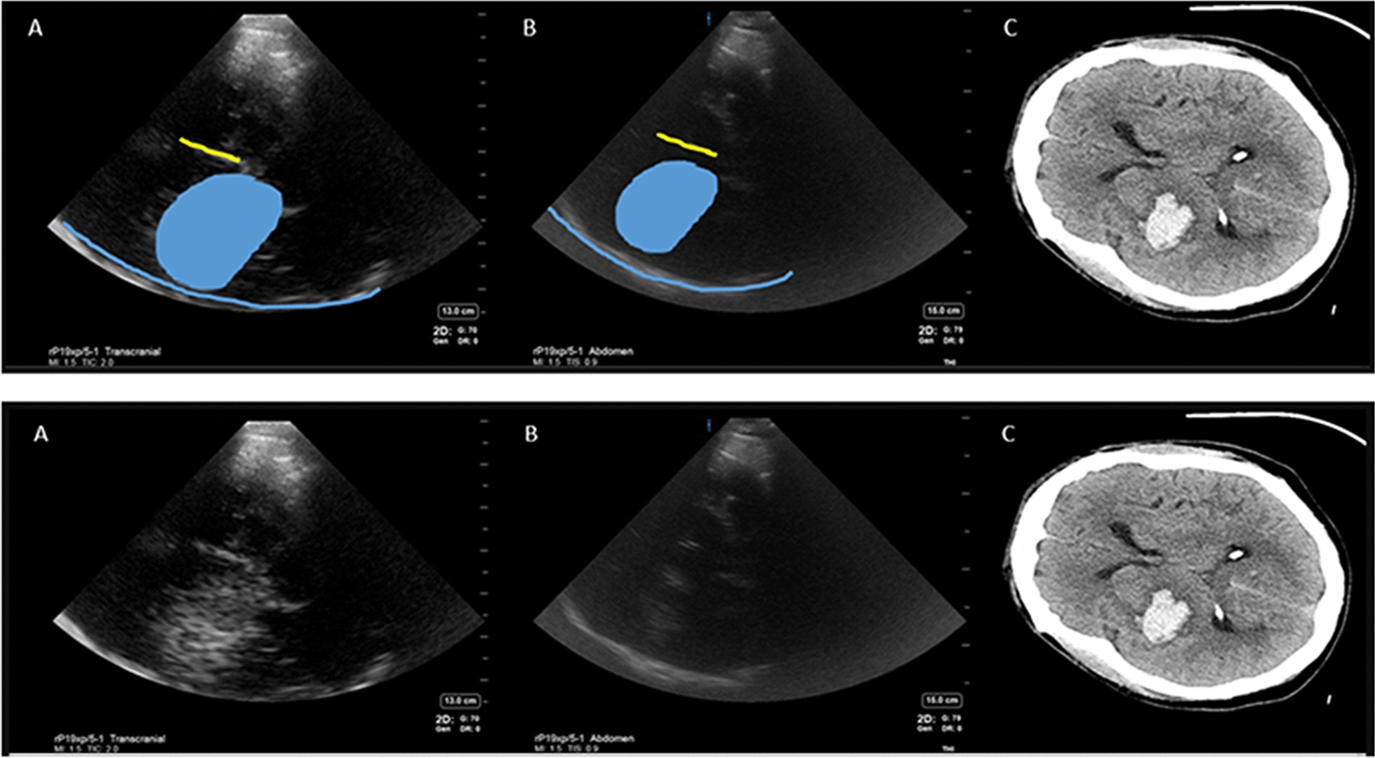 Fig. 3