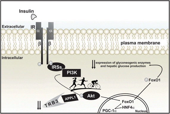 Fig. 2