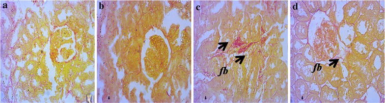 Fig. 4