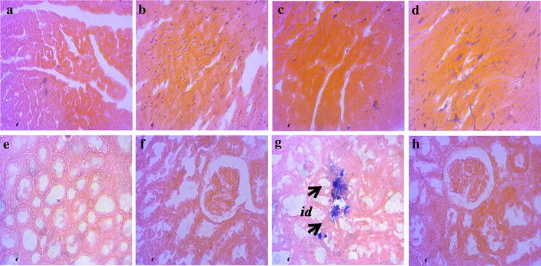 Fig. 5