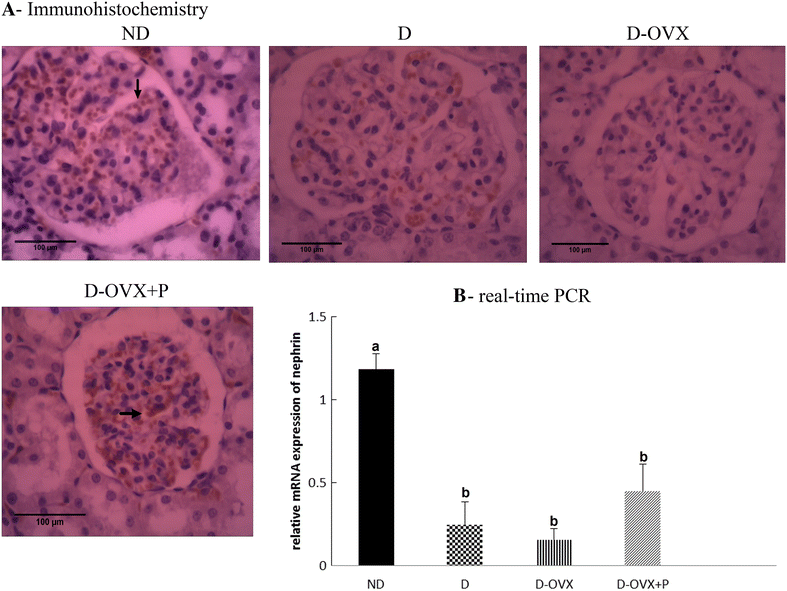 Fig. 5