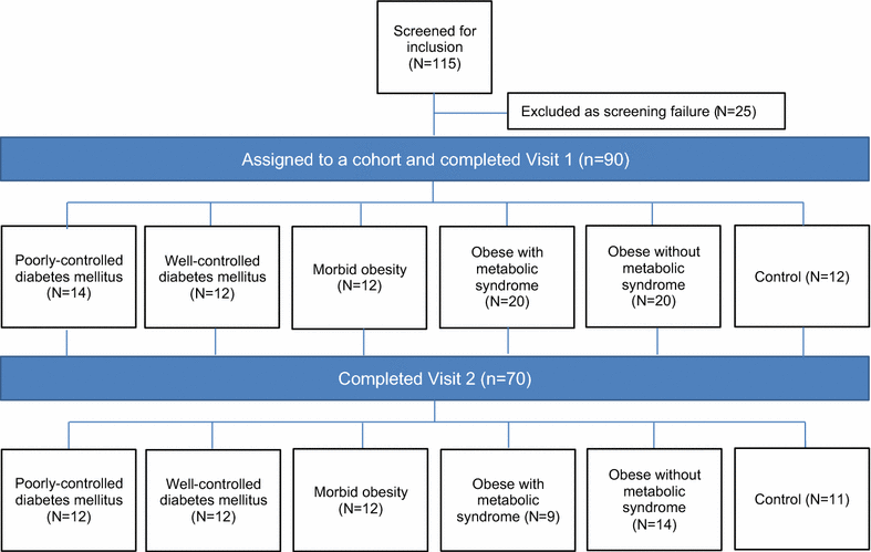 Fig. 1